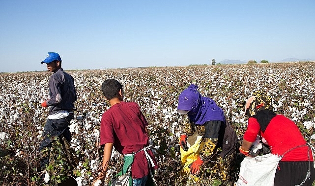 12 Haziran Dünya Çocuk İşçiliği ile Mücadele Günü: Türkiye’de mevsimlik tarımın yükü çocukların omzunda