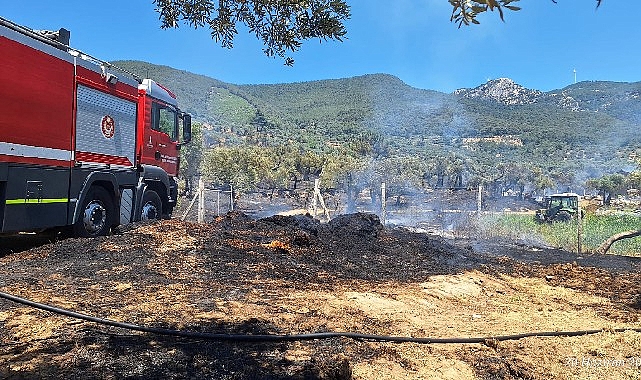 İzmir İtfaiyesi Torbalı, Kınık ve Menderes’teki yangınlara müdahale etti