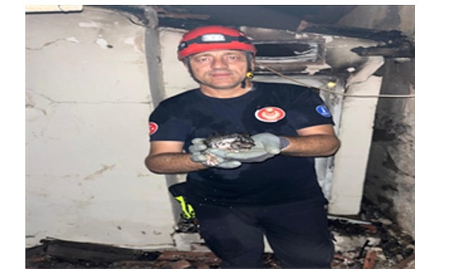 Büyükşehir yangın bölgelerindeki tüm canlıların yardımına koştu