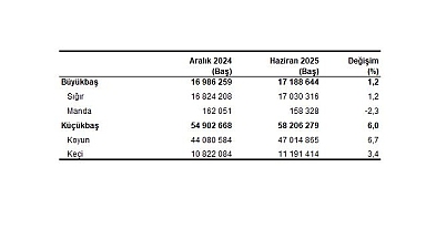 Hayvancılık İstatistikleri, Haziran 2025