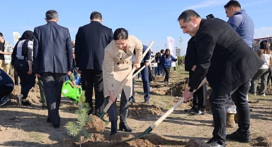 Fidanlar Toprakla Buluştu